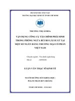 Luận văn Thạc sĩ Vận dụng công cụ tài chính phái sinh trong phòng ngừa rủi ro lãi suất tại ột số ngân hàng Thương mại cổ phần Việt Nam