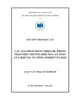 CÁC GIẢI PHÁP HOÀN THIỆN HỆ THỐNG NHẬN DIỆN THƯƠNG HIỆU RAU AN TOÀN CỦA HỢP TÁC XÃ NÔNG NGHIỆP TÂN KIM  LUẬN VĂN THẠC SĨ.PDF