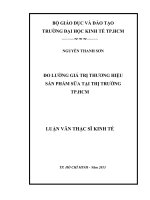 Đo lường giá trị thương hiệu sản phẩm sữa tại thị trường TPHCM