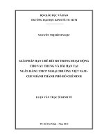 Luận văn thạc sĩ Giải pháp hạn chế rủi ro trong hoạt động cho vay trung và dài hạn tại Ngân hàng TMCP Ngoại thương Việt Nam - Chi nhánh TP Hồ Chí Minh