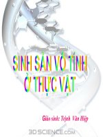 sinh sản vô tính ở thực vật