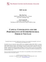CAPITAL CONSTRAINTS AND THE PERFORMANCE OF ENTREPRENEURIAL FIRMS IN VIETNAM