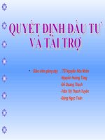 QUYẾT ĐỊNH ĐẦU TƯ VÀ TÀI TRỢ
