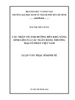 Luận văn thạc sĩ Các nhân tố ảnh hưởng đến khả năng sinh lời của các ngân hàng TMCP Việt Nam