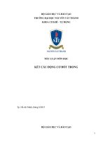Tiểu luận kết cấu động cơ đốt trong động cơ 1 TR   FE