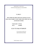 Luận văn Hoàn thiện hệ thống kiểm soát nội bộ tại Ngân hàng nông nghiệp và phát triển nông thôn Việt Nam chi nhánh Tân Bình