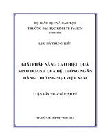 GIẢI PHÁP NÂNG CAO HIỆU QUẢ KINH DOANH CỦA HỆ THỐNG NGÂN HÀNG THƯƠNG MẠI VIỆT NAM  LUẬN VĂN THẠC SĨ.PDF