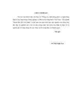 Nâng cao chất lượng dịch vụ ngân hàng điện tử tại ngân hàng nông nghiệp và phát triển nông thôn Việt Nam - Chi nhánh TPHCM