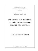 Luận văn thạc sĩ Ảnh hưởng của biến động tỷ giá lên thương mại quốc tế của Việt Nam