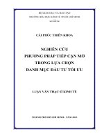 Luận văn thạc sĩ Nghiên cứu phương pháp tiếp cận mờ trong lựa chọn danh mục dự án đầu tư tối ưu