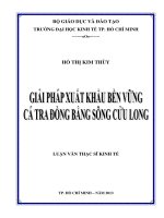 GIẢI PHÁP XUẤT KHẨU BỀN VỮNG CÁ TRA ĐỒNG BẰNG SÔNG CỬU LONG  LUẬN VĂN THẠC SĨ.PDF