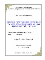 Giải pháp phát triển thẻ thanh toán tại ngân hàng nông nghiệp và phát triển nông thôn Việt Nam