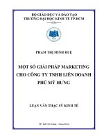 Luận văn Thạc sĩ 2014 Một số giải pháp marketing cho công ty TNHH liên doanh Phú Mỹ Hưng