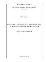 CÁC GIẢI PHÁP TĂNG CƯỜNG QUẢN TRỊ RỦI RO TÍN DỤNG TẠI NGÂN HÀNG TMCP CÔNG THƯƠNG VIỆT NAM  LUẬN VĂN THẠC SĨ.PDF