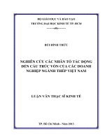 Luận văn thạc sĩ Nghiên cứu các nhân tố tác động đến cấu trúc vốn của các doanh nghiệp ngành thép Việt Nam
