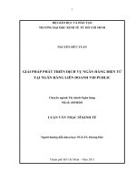 GIẢI PHÁP PHÁT TRIỂN DỊCH VỤ NGÂN HÀNG ĐIỆN TỬ TẠI NGÂN HÀNG LIÊN DOANH VID PUBLIC.PDF
