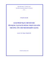 Luận văn thạc sĩ  Giải pháp hạn chế rủi ro tín dụng tại ngân hàng TMCP thương tín chi nhánh Kiên Giang