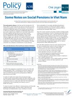 Some Notes on Social Pensions in Viet Nam