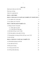 Luận văn Kiểm định các nhân tố tác động đến lạm phát Việt Nam