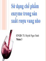 Sử dụng chế phẩm enzyme trong sản xuất rượu vang nho