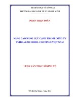 NÂNG CAO NĂNG LỰC CẠNH TRANH CÔNG TY TNHH AKZO NOBEL COATINGS VIỆT NAM.PDF