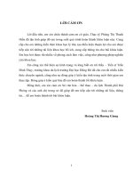 Du lịch Đồ Sơn ( Hải Phòng) - Tiềm năng, thực trạng và giải pháp phát triển