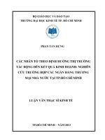 Luận văn thạc sĩ Các nhân tố theo định hướng thị trường tác động đến kết quả kinh doanh Nghiên cứu trường hợp các Ngân hàng thương mại Nhà nước tại TP. HCM