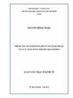 NHỮNG YẾU TỐ ẢNH HƯỞNG ĐẾN TỶ SUẤT LỢI NHUẬN CỦA CÁC NGÂN HÀNG THƯƠNG MAI CỔ PHẦN