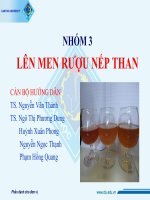 LÊN MEN RƯỢU NẾP THAN