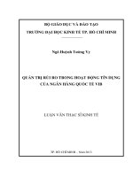 Luận văn Thạc sĩ Quản trị rủi ro trong hoạt động tín dụng của ngân hàng quốc tế VIB