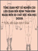 TỔNG QUAN MỘT SỐ NGHIÊN CỨU LIÊN QUAN ĐẾN BỆNH THẦN KINH NGOẠI BIÊN DO CHẤT ĐỘC HÓA HỌC DIOXIN