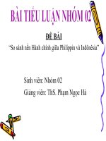 So sánh nền Hành chính giữa Philippin và Inđônêsia