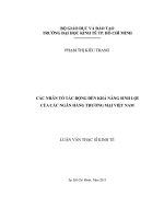 Luận văn thạc sĩ Các nhân tố tác động đến khả năng sinh lợi của các ngân hàng thương mại Việt Nam