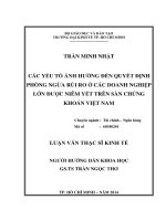 Các yếu tố đến quyết định phòng ngừa rủi ro ở các doanh nghiệp lớn được niêm yết trên sàn chứng khoán việt nam