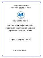Luận văn thạc sĩ  Các giải pháp nhằm góp phần phát triển thương hiệu VOLANO tại Việt Nam đến năm 2020
