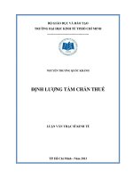 Luận văn Định lượng tấm chắn thuê