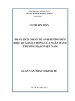 PHÂN TÍCH NHÂN TỐ ẢNH HƯỞNG ĐẾN HIỆU QUẢ HOẠT ĐỘNG CỦA NGÂN HÀNG THƯƠNG MẠI Ở VIỆT NAM.PDF