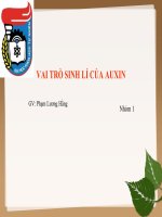 Vai trò sinh lý của auxin