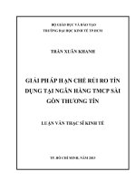 Luận văn thạc sĩ Giải pháp hạn chế rủi ro tín dụng tại các ngân hàng TMCP Sài Gòn thương tín