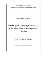CƠ CHẾ QUẢN LÝ VỐN TẬP TRUNG TẠI NGÂN HÀNG TMCP XUẤT NHẬP KHẨU VIỆT NAM  LUẬN VĂN THẠC SĨ.PDF