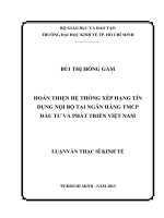 HOÀN THIỆN HỆ THỐNG XẾP HẠNG TÍN DỤNG NỘI BỘ TẠI NGÂN HÀNG TMCP ĐẦU TƯ VÀ PHÁT TRIỂN VIỆT NAM LUẬN VĂN THẠC SĨ KINH TẾ.PDF
