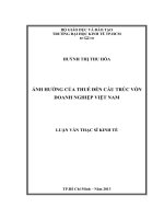 Luận văn thạc sĩ Ảnh hưởng của thuế đến cấu trúc vốn doanh nghiệp Việt Nam
