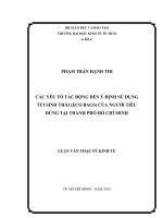 CÁC YẾU TỐ TÁC ĐỘNG ĐẾN Ý ĐỊNH SỬ DỤNG TÚI SINH THÁI (ECO BAGS) CỦA NGƯỜI TIÊU DÙNG TẠI THÀNH PHỐ HỒ CHÍ MINH  LUẬN VĂN THẠC SĨ.PDF