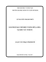 GIẢI PHÁP HẠN CHẾ HIỆN TƯỢNG ĐÔ LA HÓA TẠI KHU VỰC TPHCM.PDF