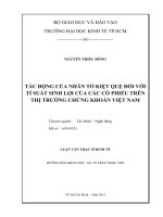 Luận văn Thạc sĩ Tác động của nhân tố kiệt quệ đối với tỉ suất sinh lợi của các cổ phiếu trên thị trường chứng khoán Việt Nam