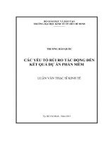 CÁC YẾU TỐ RỦI RO TÁC ĐỘNG ĐẾN KẾT QUẢ DỰ ÁN PHẦN MỀM  LUẬN VĂN THẠC SĨ.PDF