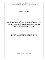 Luận văn thạc sĩ  Giải pháp phòng ngừa rủi ro tín dụng tại Ngân hàng TMCP xuất nhập khẩu Việt Nam