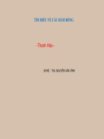 tìm hiểu về cầu hàm rồng thanh hóa