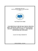 Luận văn thạc sĩ Giải pháp hạn chế rủi ro trong phương thức tín dụng chứng từ tại ngân ngân hàng thương mại quốc tế mega chi nhánh thành phố Hồ Chí Minh