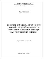 GIẢI PHÁP HẠN CHẾ VÀ XỬ LÝ NỢ XẤU TẠI NGÂN HÀNG NÔNG NGHIỆP VÀ PHÁT TRIỂN NÔNG THÔN TRÊN ĐỊA BÀN TP.HCM